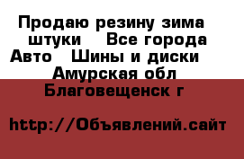 Продаю резину зима 2 штуки  - Все города Авто » Шины и диски   . Амурская обл.,Благовещенск г.